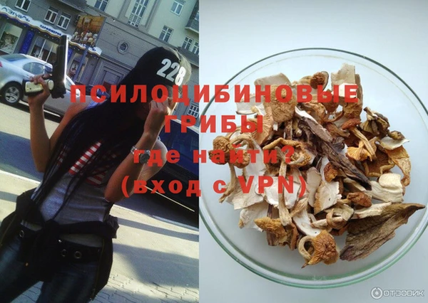 бошки Абаза