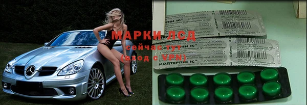 мяу мяу мука Алзамай